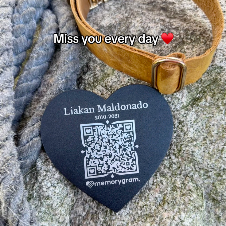 Memorygram QR Pet Medallion
